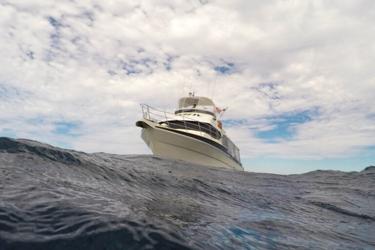 Cheoy Lee Yachts for Sale