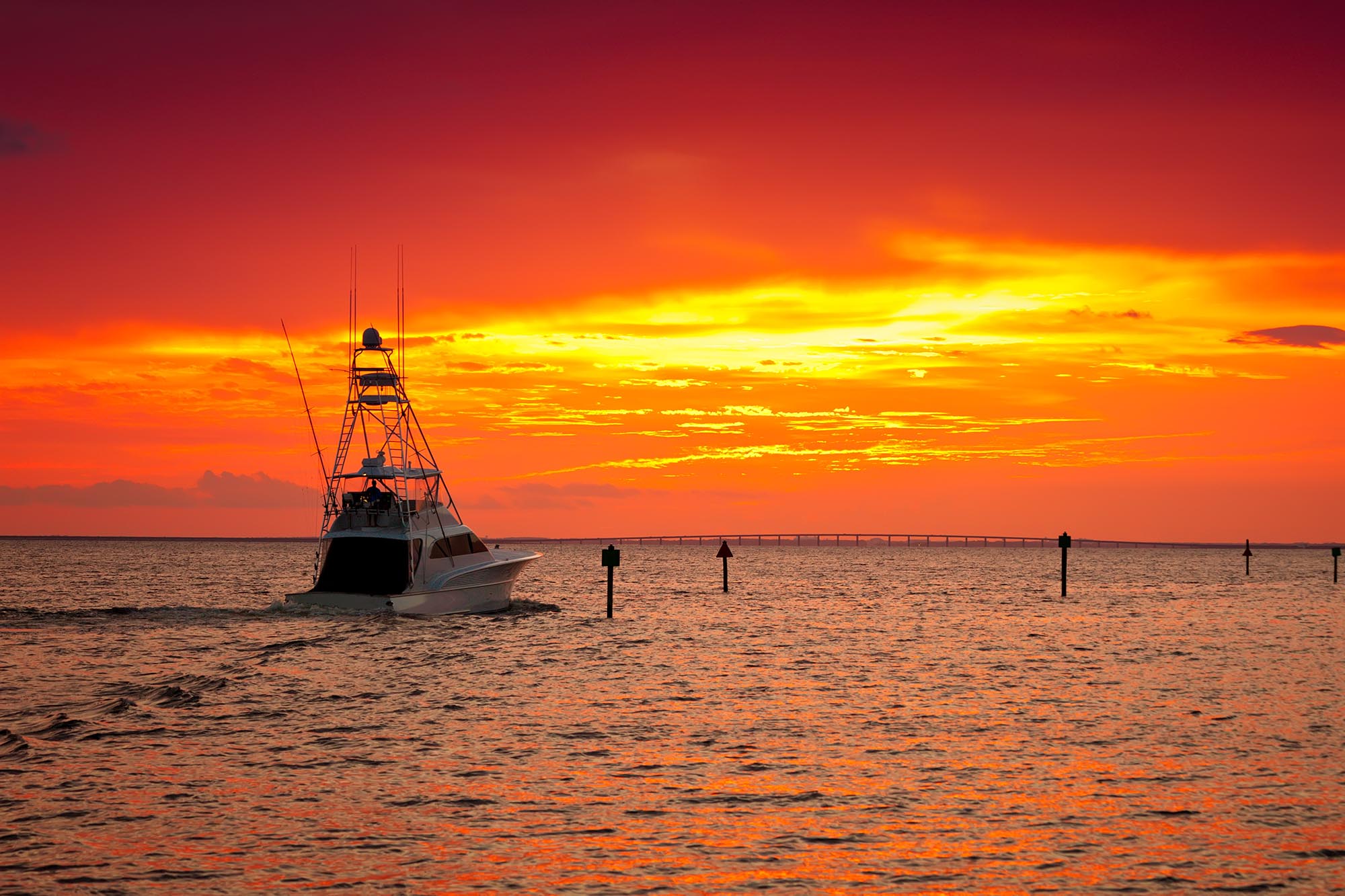 donzi yachts bradenton