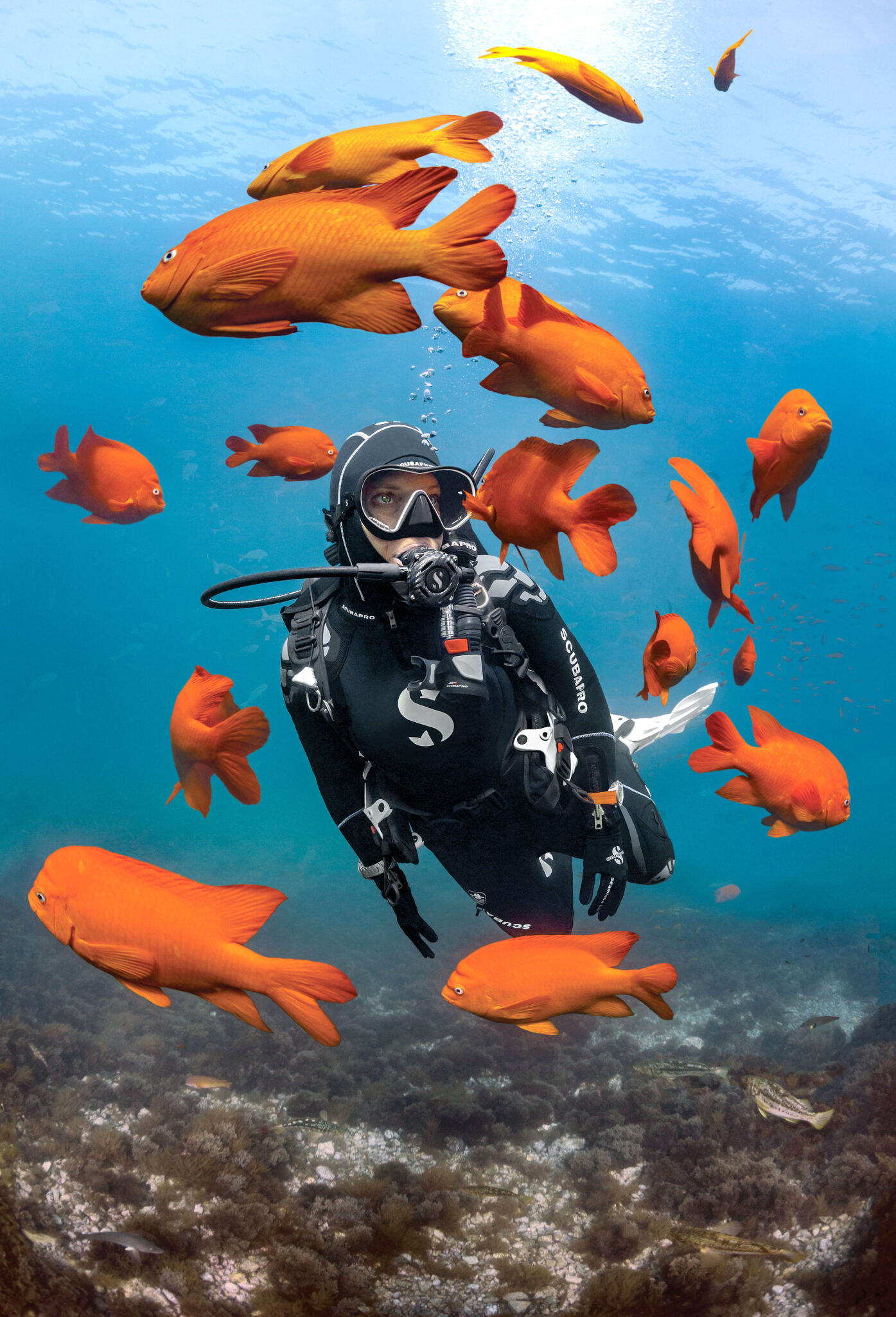 Scuba Pro Gold Dive Package for sale Superyacht Toys TWW Yachts