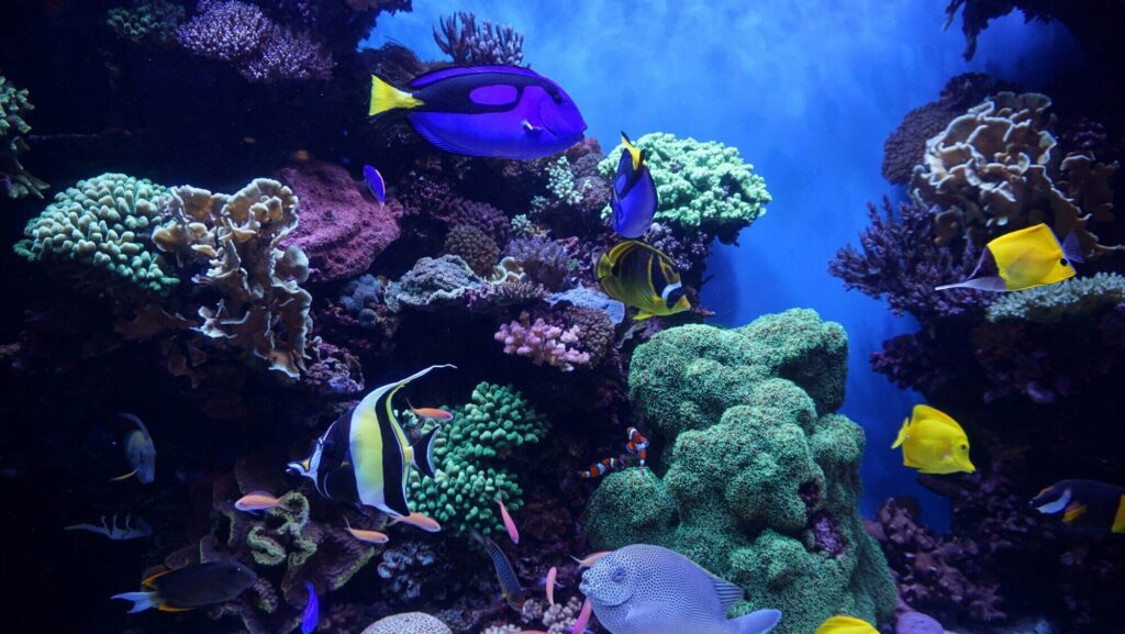 Alesund Yacht Charter Yacht Charter Alesund Alesund Yacht Rentals Alesund Superyacht Charter