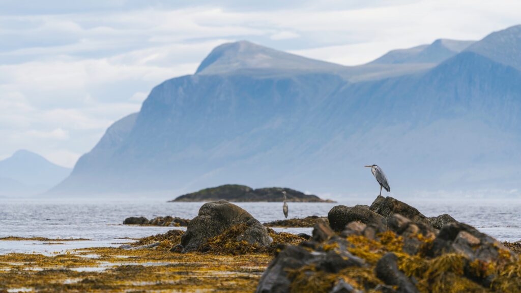 Alesund Yacht Charter Yacht Charter Alesund Alesund Yacht Rentals Alesund Superyacht Charter