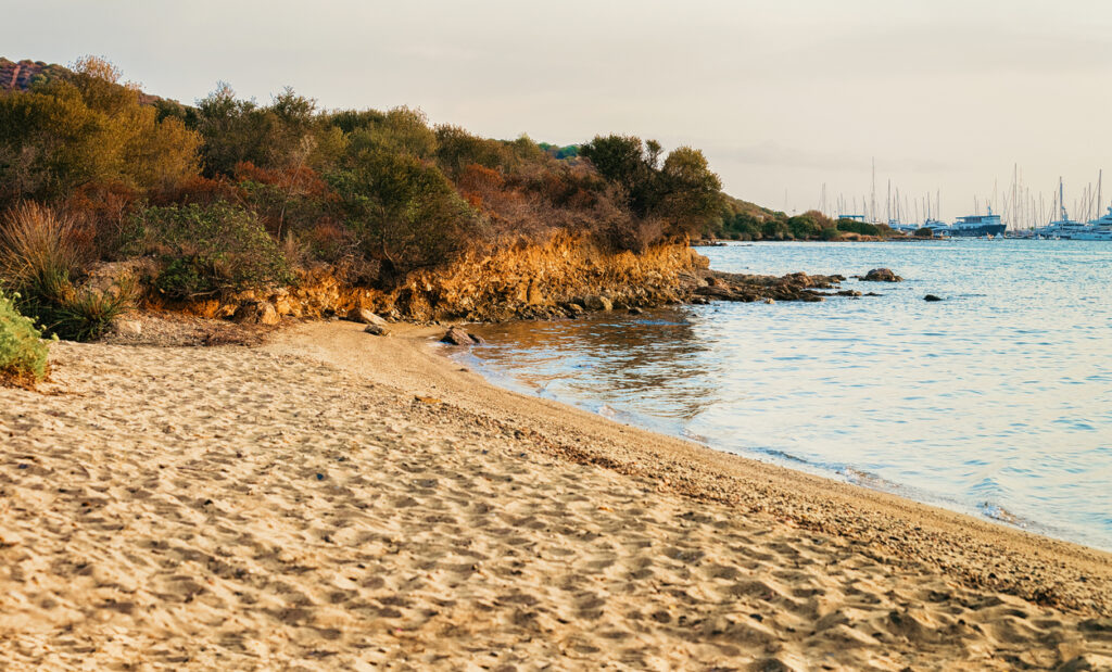 Portisco Yacht Charter Yacht Charter Portisco Portisco Yacht Rentals Portisco Superyacht Charter