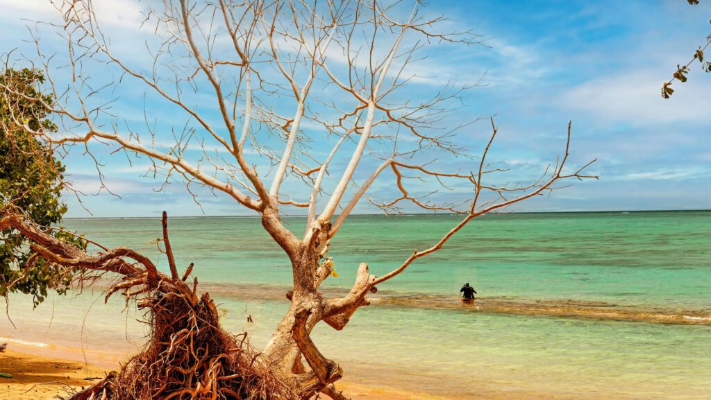 Samoa Yacht Charter Yacht Charter Samoa Samoa Yacht Rentals Samoa Superyacht Charter