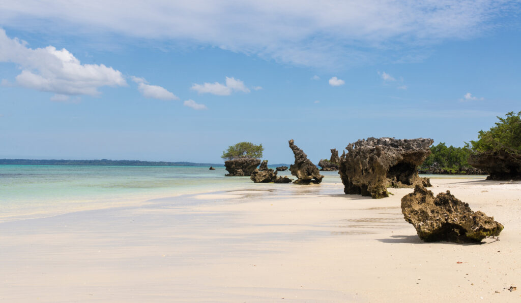 Pemba Yacht Charter Yacht Charter Pemba Pemba Yacht Rentals Pemba Superyacht Charter