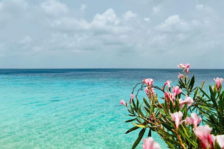 Bonaire Yacht Charter Yacht Charter Bonaire Bonaire Yacht Rentals Bonaire Superyacht Charter